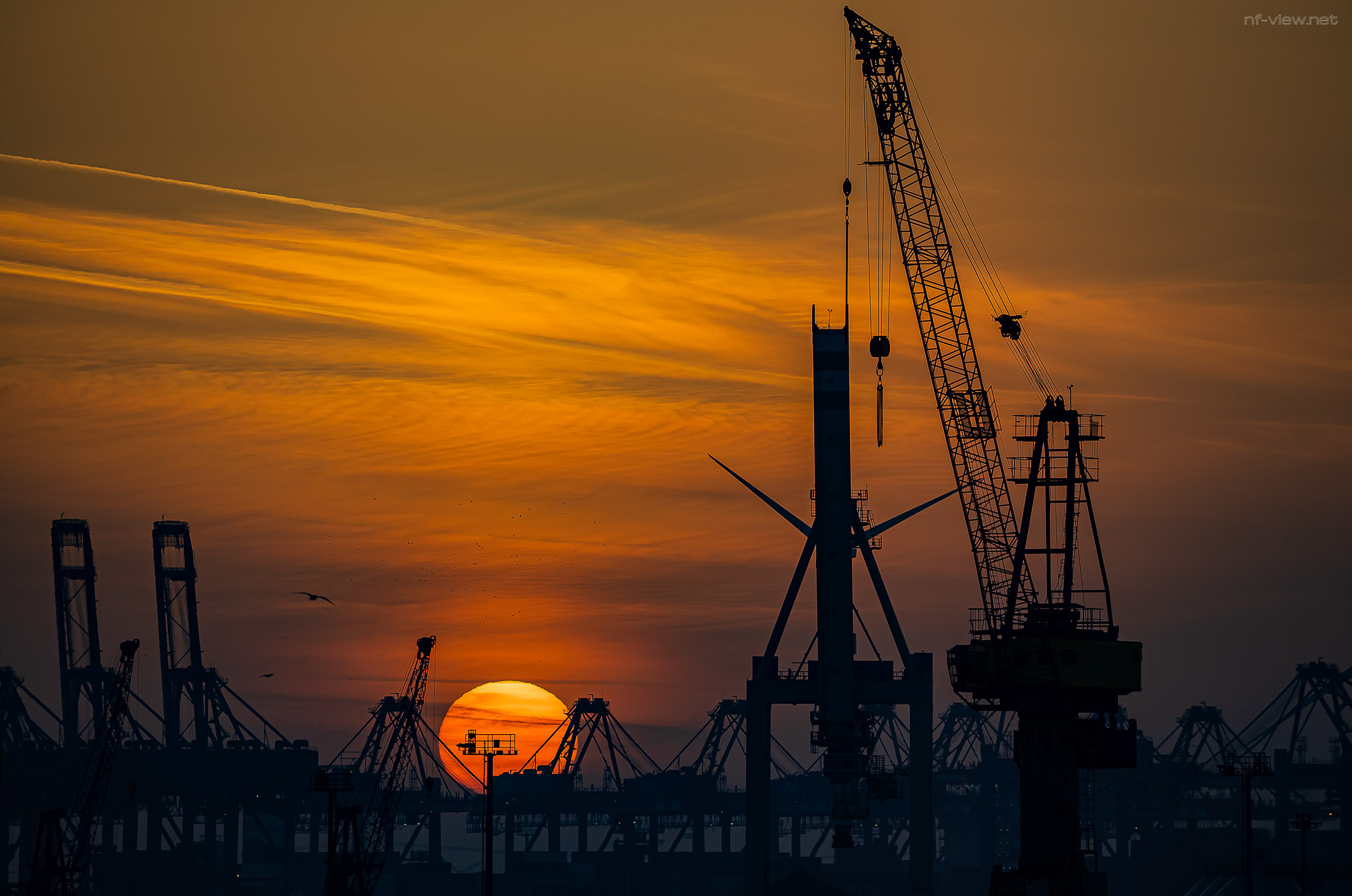 Hafenkräne im Sonnenuntergang