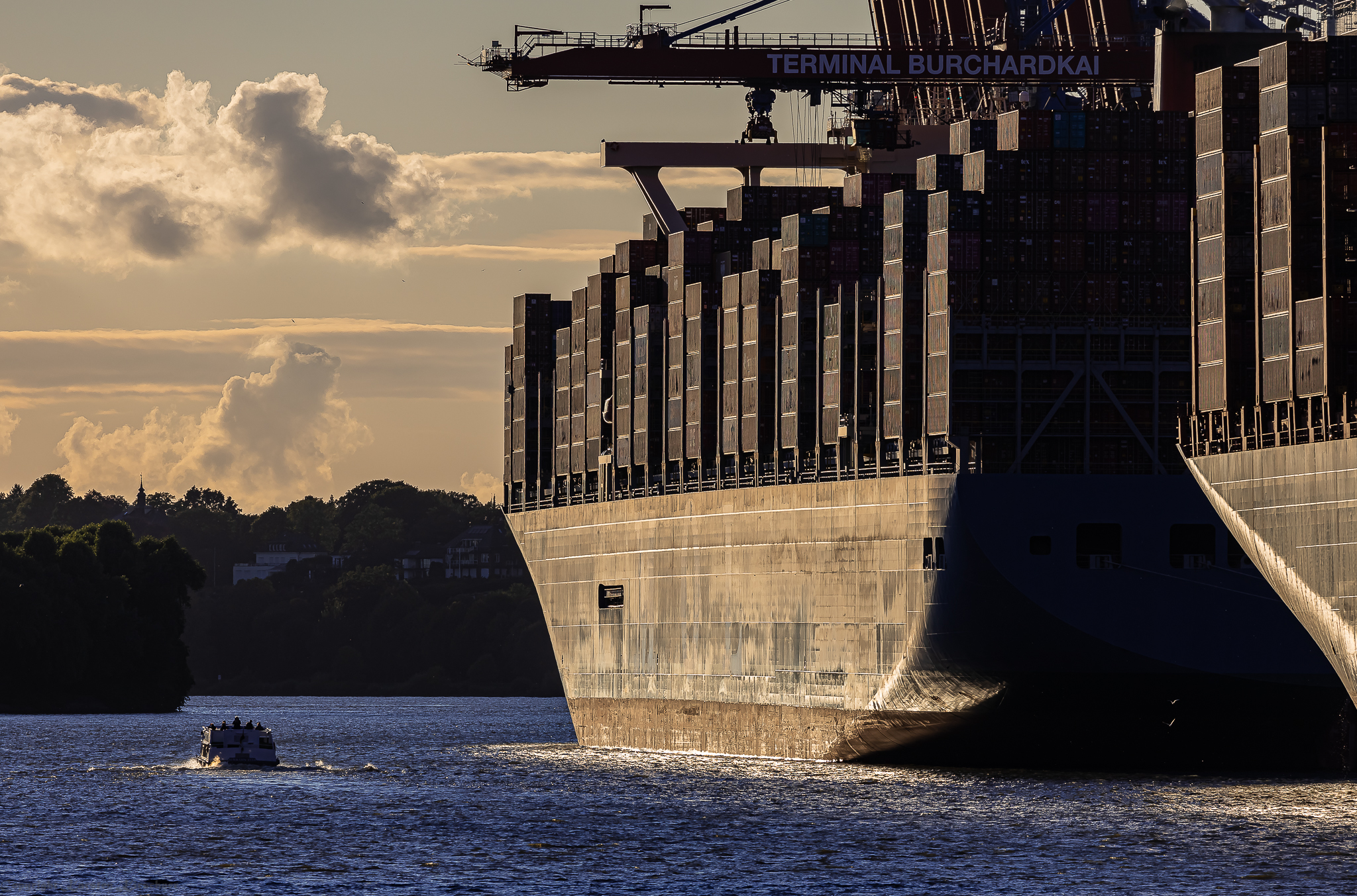 Containergiganten am Terminal Burchardkai
