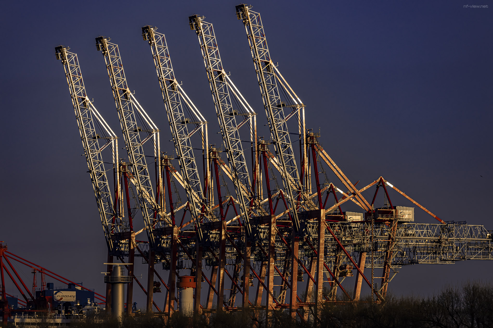 Hafengiraffen leuchten in der Abendsonne - Container Terminal Eurogate