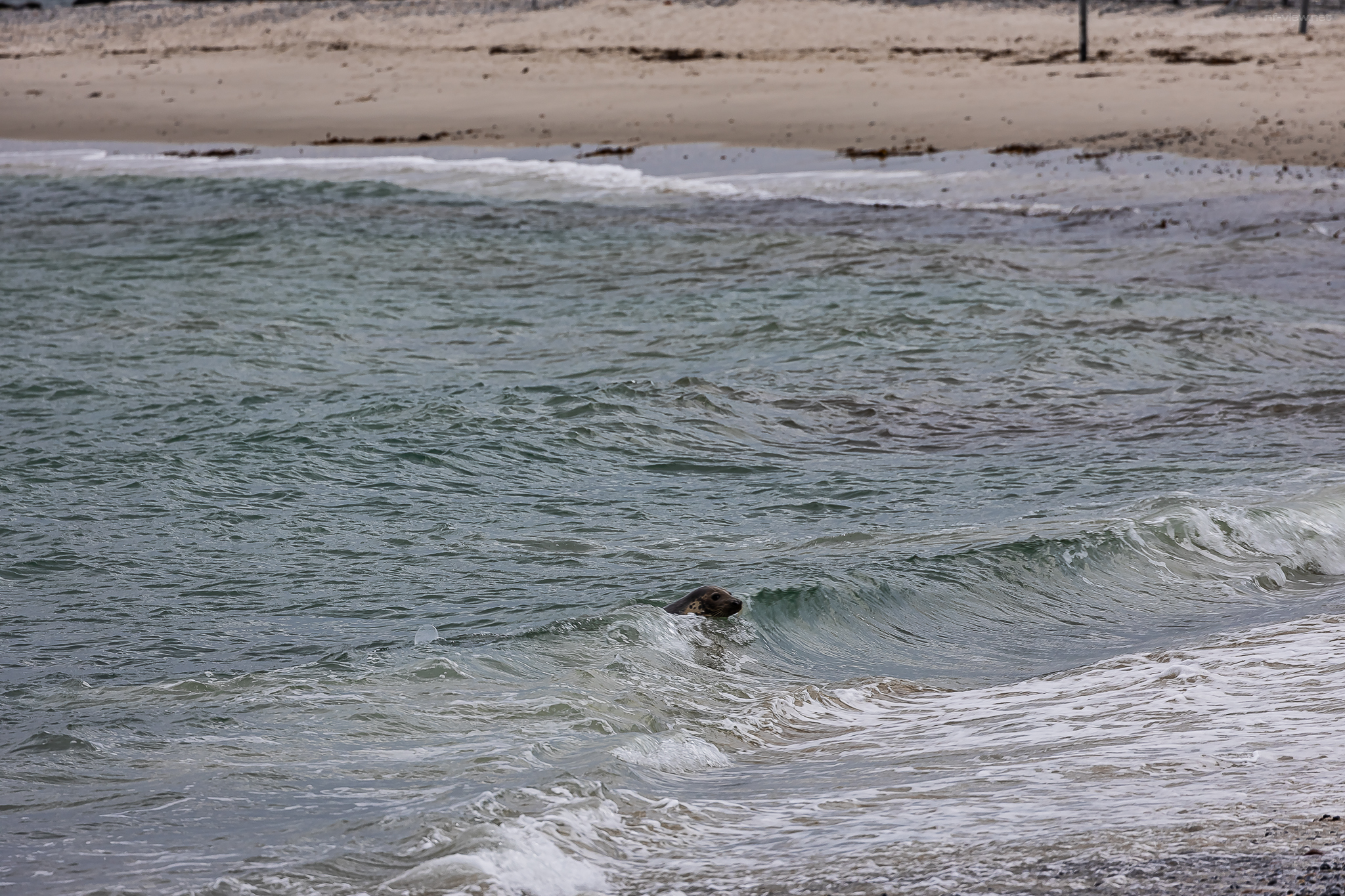 Helgoland Tag 1 Bild 7