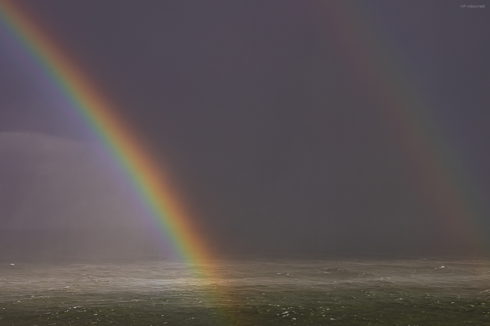 Helgoland Tag 3 Bild 6