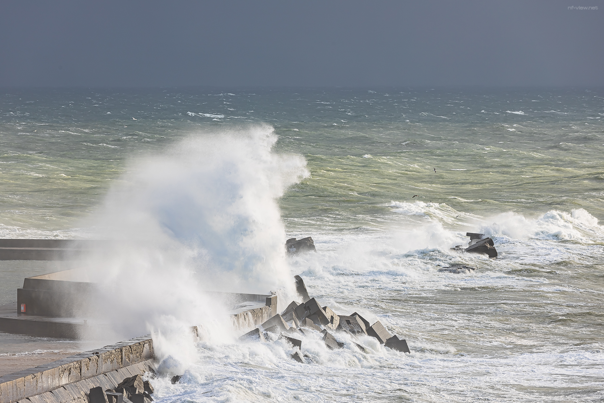 Helgoland Tag 3 Bild 7