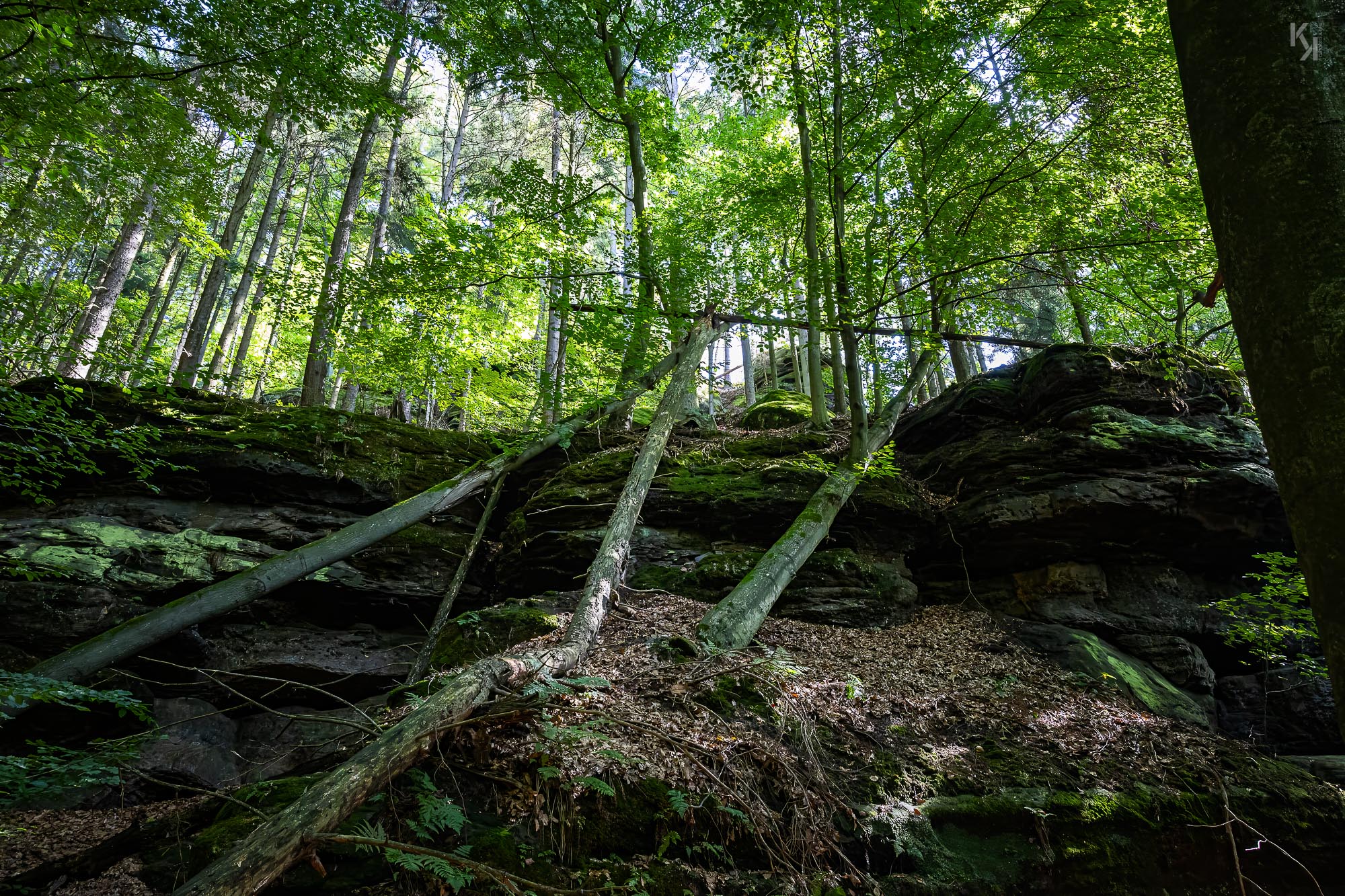 Aufstieg zu den Schrammsteinen