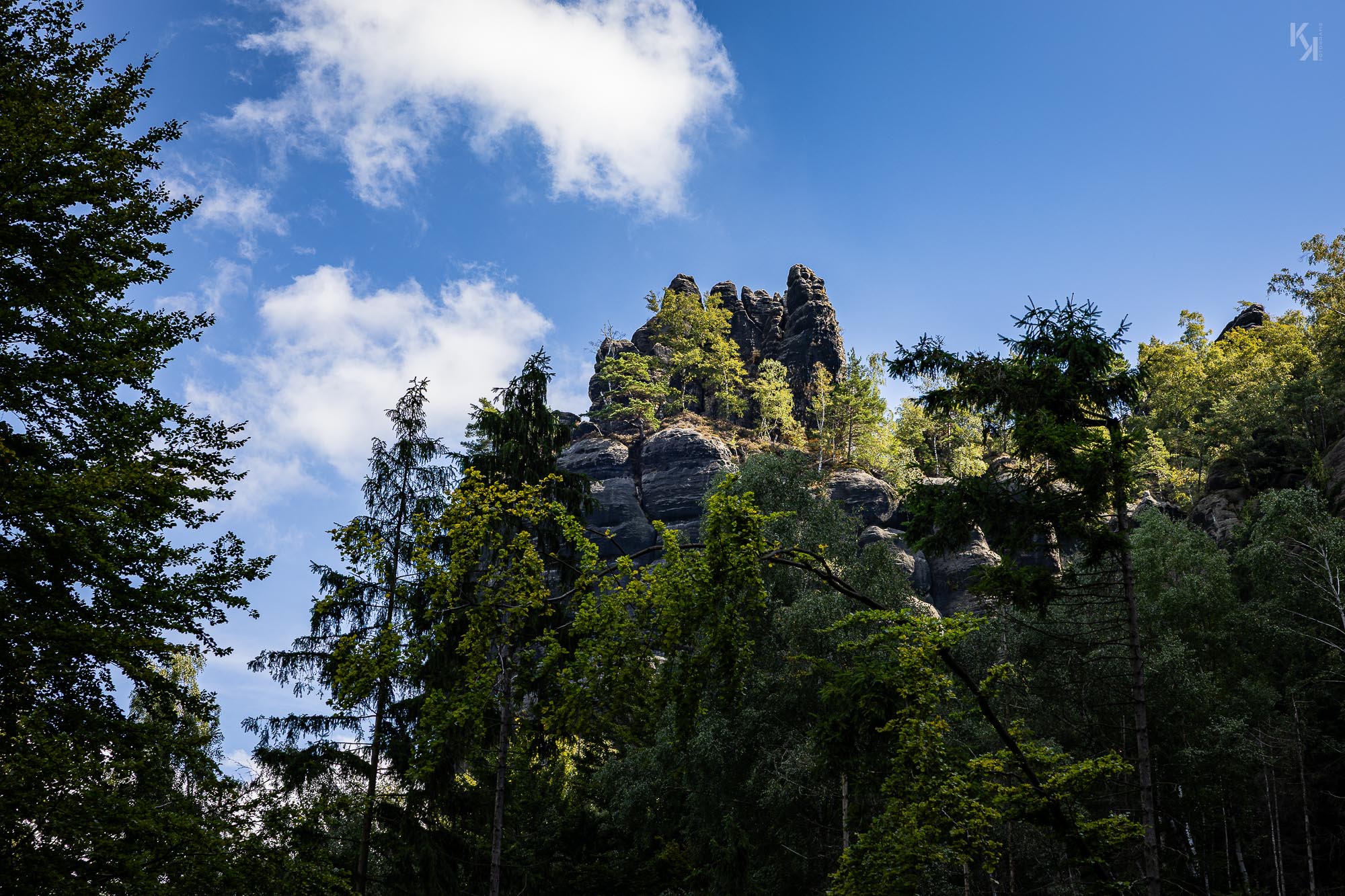 hat was Wild-Romantisches