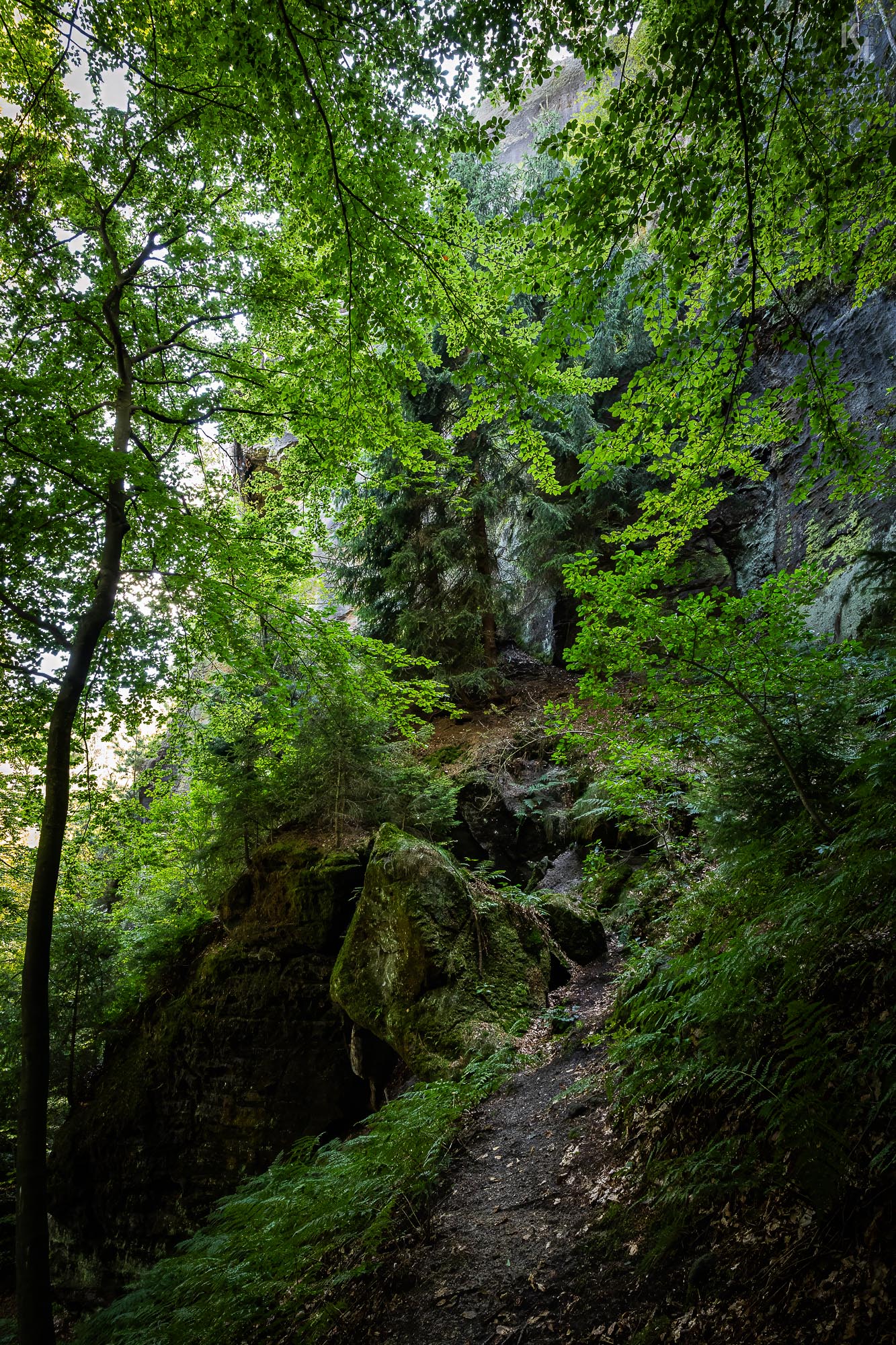 wo der Pfad wohl hinführt