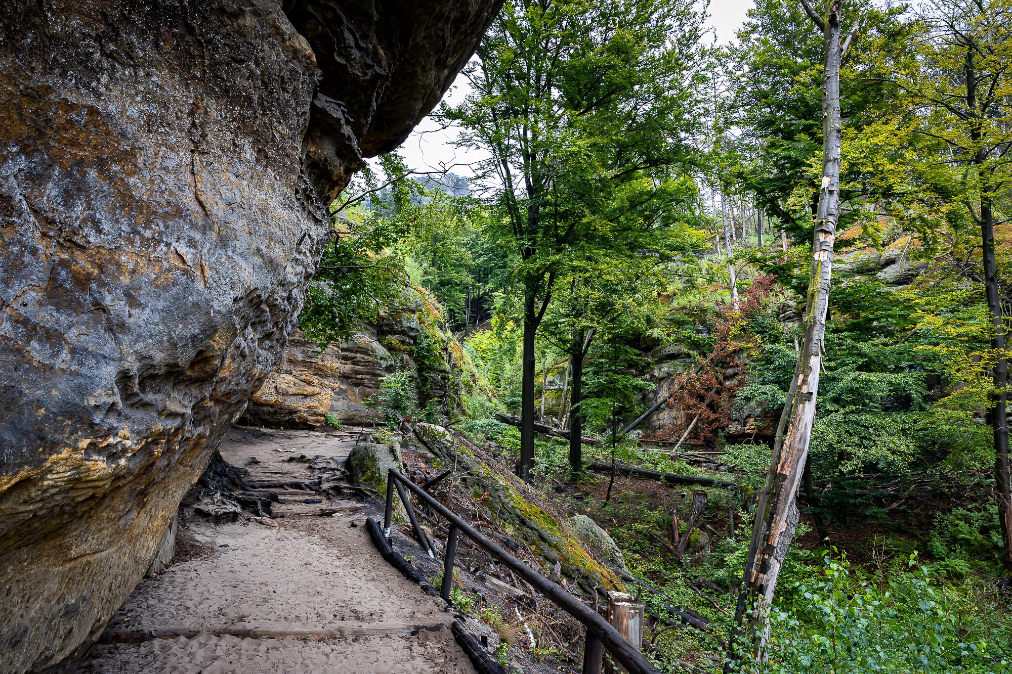 Auf dem Weg nach oben