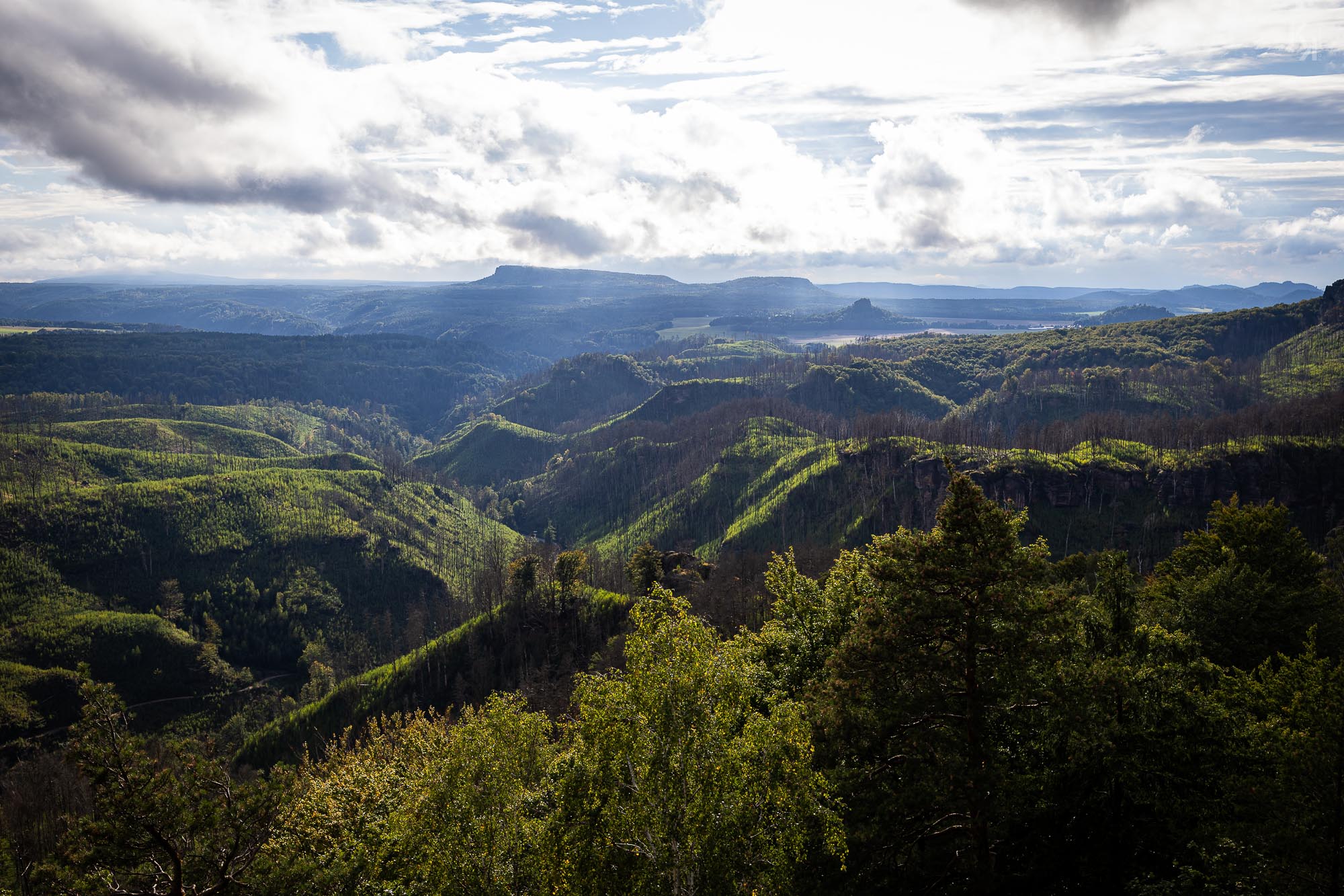 Man sieht noch deutlich die Spuren des Waldbrandes 2022
