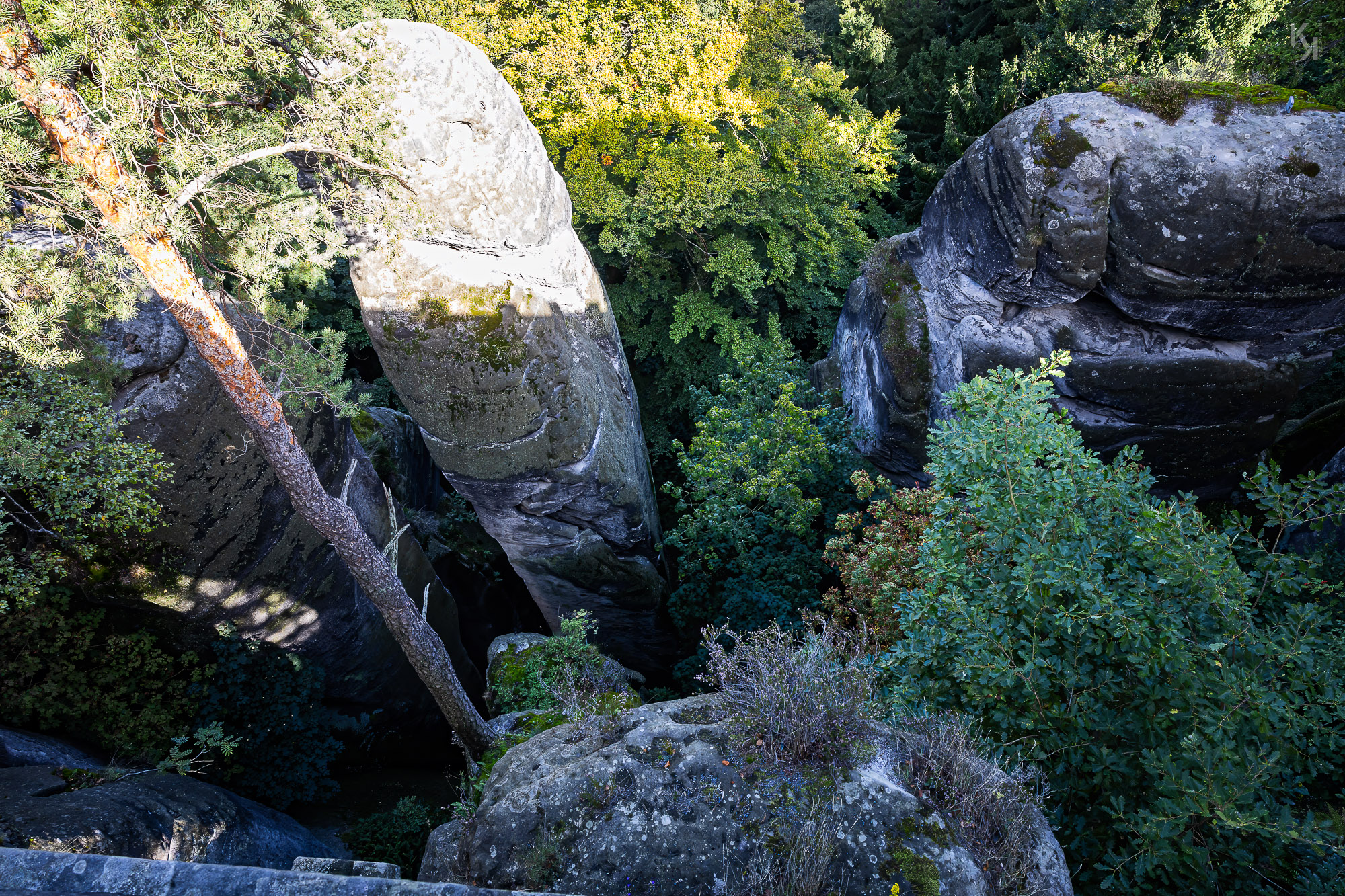 von der Basteibrücke nach unten geschaut