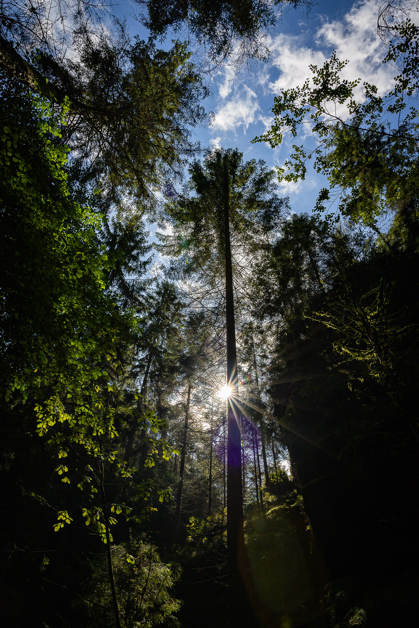 Blick gen Himmel aus den Schwedenlöchern